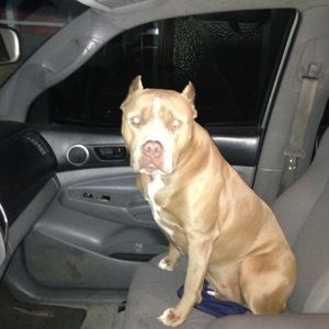 Meet your Posher, Andrew